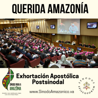 Entrevista con el cardenal Michael Czerny. Amar la Amazonia Entrevista con el cardenal Michael Czerny. Amar la Amazonia